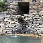 Quinta Do Barrocal - * Peso da Régua