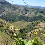 Quinta Do Barrocal - Vakantiehuis