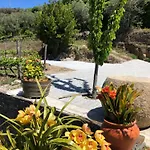 Tatil Evi Quinta Do Barrocal - Peso da Régua