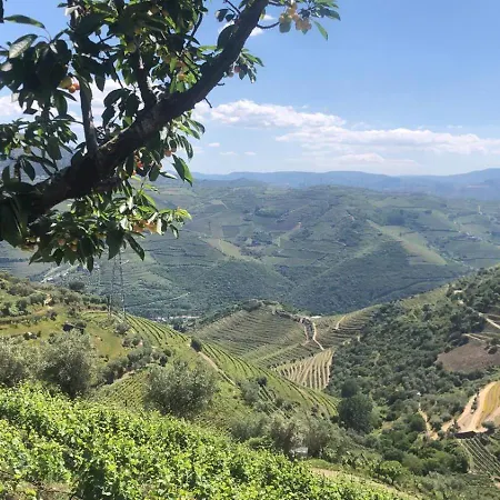 度假居 Quinta Do Barrocal - 比索达雷加