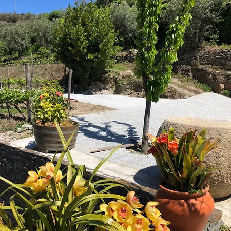 Сasa de vacaciones Quinta Do Barrocal - Peso da Régua