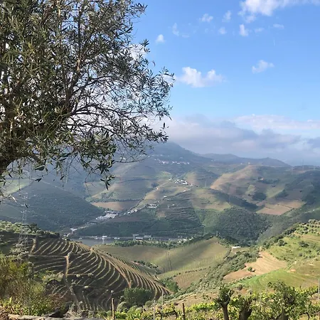 Quinta Do Barrocal - * Peso da Régua