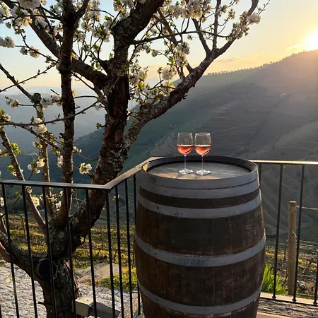 度假居 Quinta Do Barrocal -