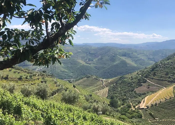 Ferienhaus Quinta Do Barrocal - Peso da Régua