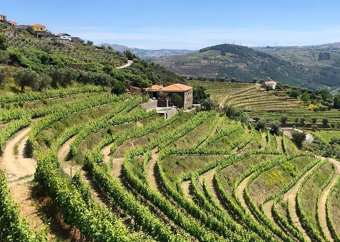 Quinta Do Barrocal - * Peso da Régua