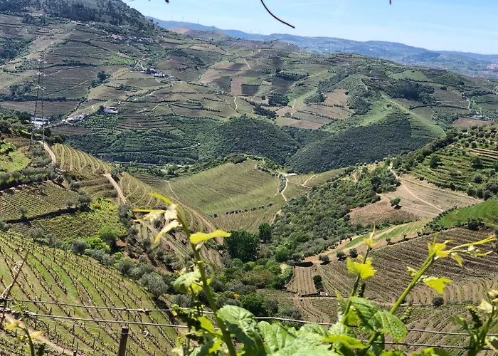 Quinta Do Barrocal - Hébergement de vacances