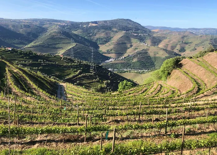 Quinta Do Barrocal - Peso da Régua