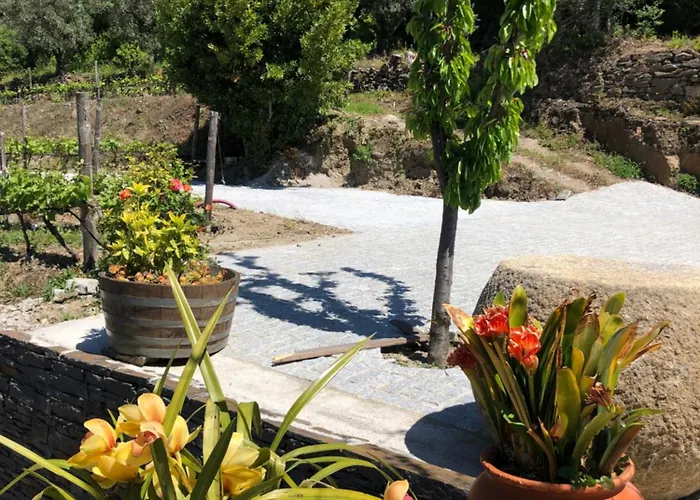 Ferienhaus Quinta Do Barrocal - Peso da Régua