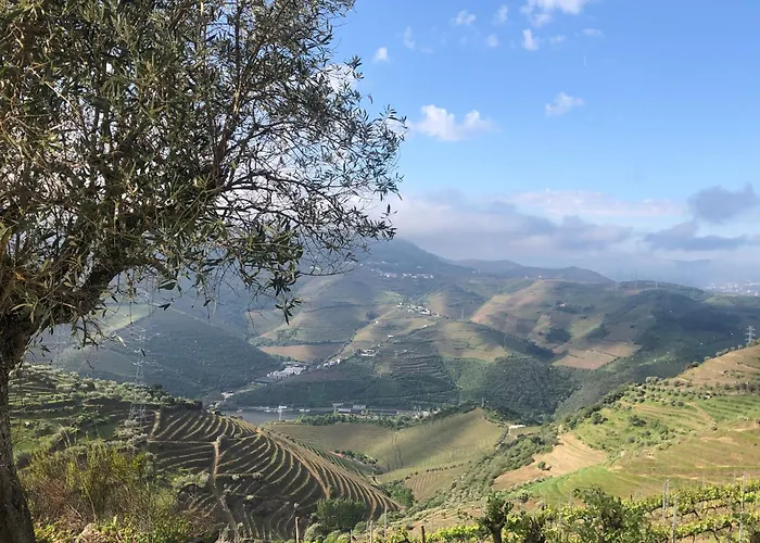 Quinta Do Barrocal - * Peso da Régua