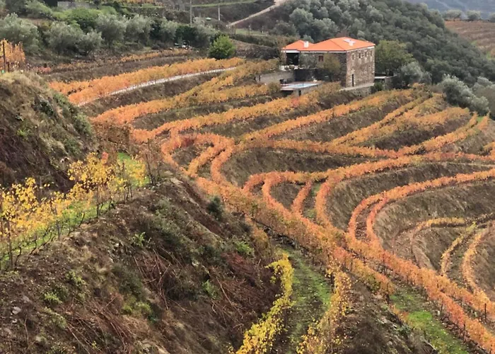 Quinta Do Barrocal - Ferienhaus *