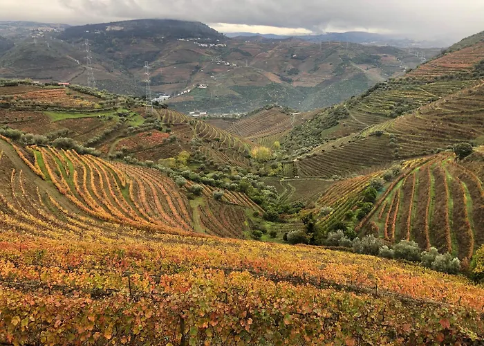 Quinta Do Barrocal - Casa de Férias *